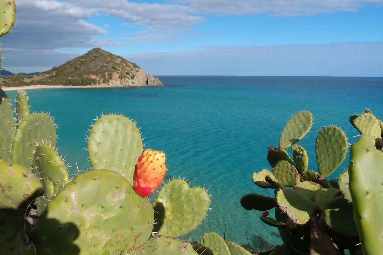 فيلا Casa Casciu La Collina Sul Mare كوستا ري المظهر الخارجي الصورة
